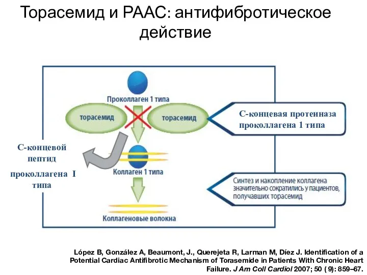 Торасемид и РААС: антифибротическое действие López B, González A, Beaumont, J.,