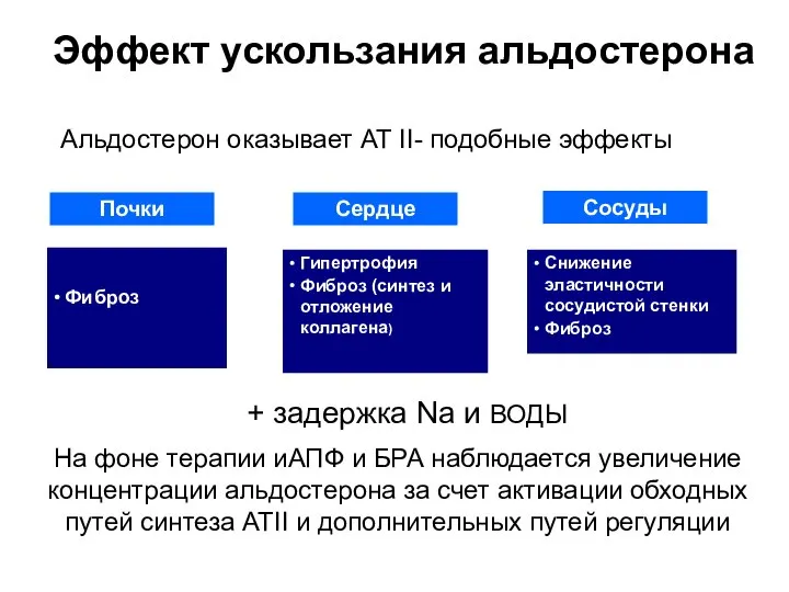 Эффект ускользания альдостерона Альдостерон оказывает АТ II- подобные эффекты Фиброз Почки