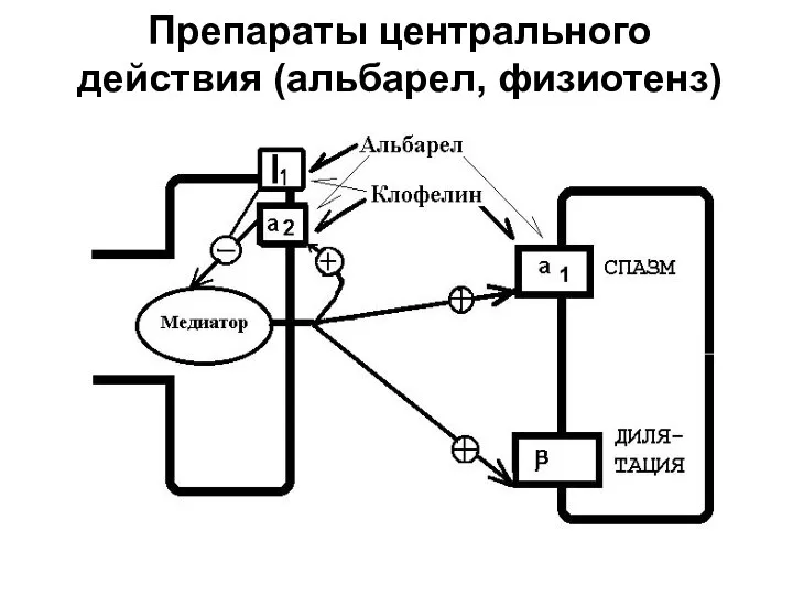 Препараты центрального действия (альбарел, физиотенз)