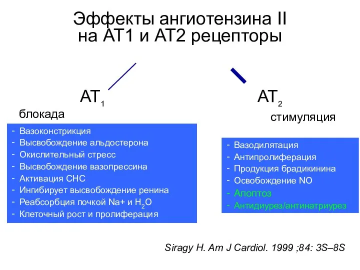 блокада AT2 AT1 Вазоконстрикция Высвобождение альдостерона Окислительный стресс Высвобождение вазопрессина Активация