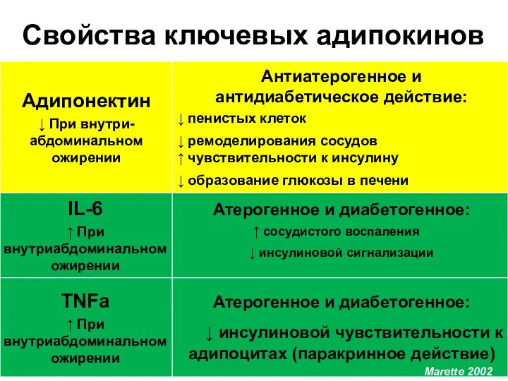 Свойства ключевых адипокинов Marette 2002