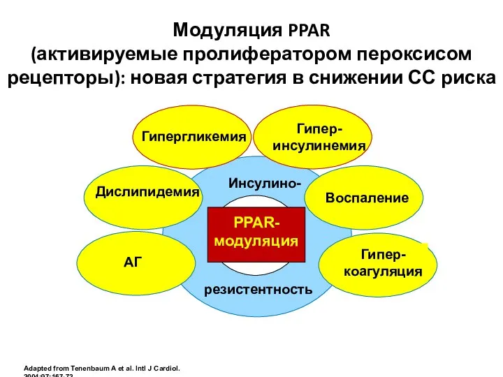 Adapted from Tenenbaum A et al. Intl J Cardiol. 2004;97:167-72. Инсулино-