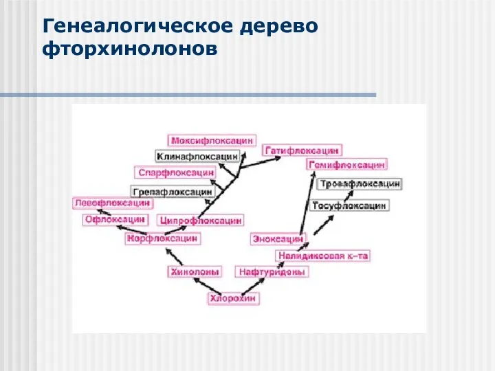 Генеалогическое дерево фторхинолонов