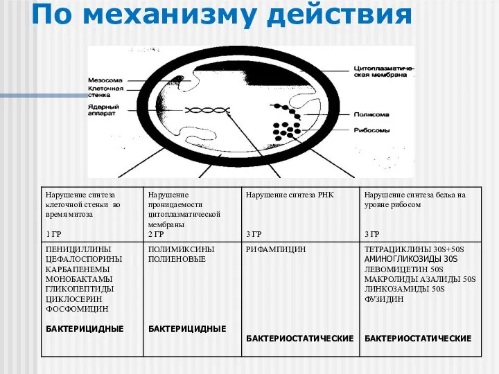 По механизму действия