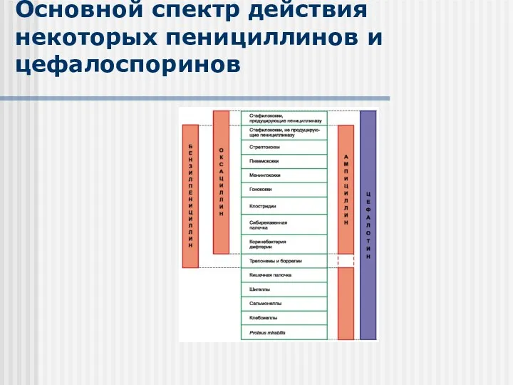 Основной спектр действия некоторых пенициллинов и цефалоспоринов