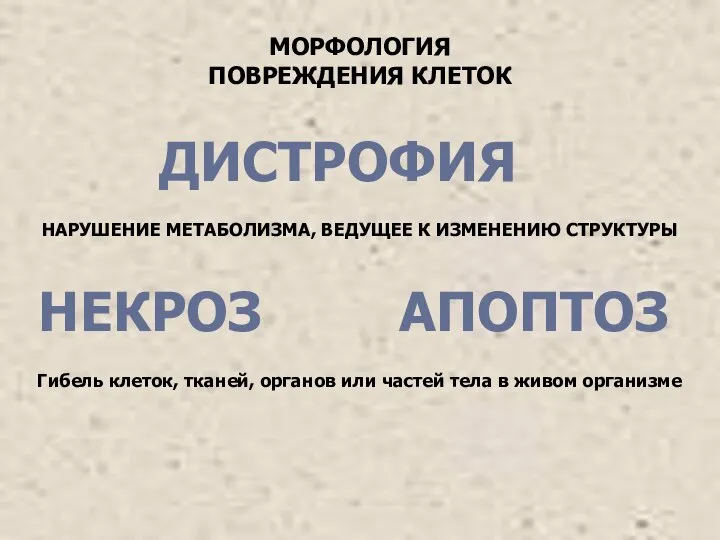 МОРФОЛОГИЯ ПОВРЕЖДЕНИЯ КЛЕТОК ДИСТРОФИЯ АПОПТОЗ НЕКРОЗ НАРУШЕНИЕ МЕТАБОЛИЗМА, ВЕДУЩЕЕ К ИЗМЕНЕНИЮ