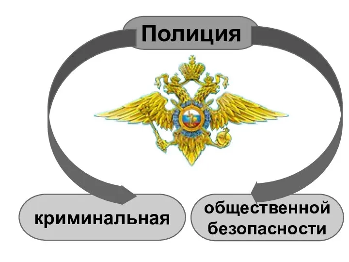 Полиция криминальная общественной безопасности