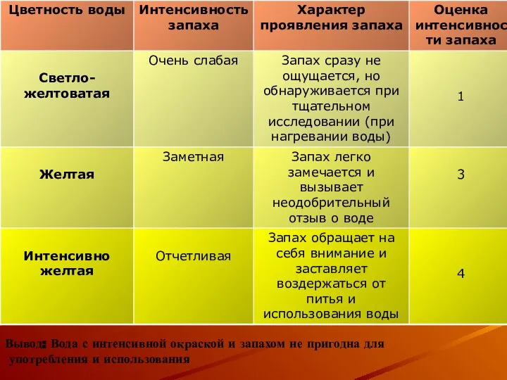 Вывод: Вода с интенсивной окраской и запахом не пригодна для употребления и использования