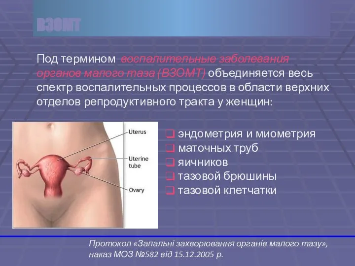 Под термином воспалительные заболевания органов малого таза (ВЗОМТ) объединяется весь спектр