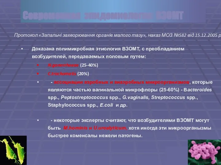 Доказана полимикробная этиология ВЗОМТ, с преобладанием возбудителей, передаваемых половым путем: N.gonorrhoeae