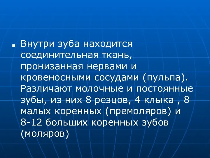 Внутри зуба находится соединительная ткань, пронизанная нервами и кровеносными сосудами (пульпа).