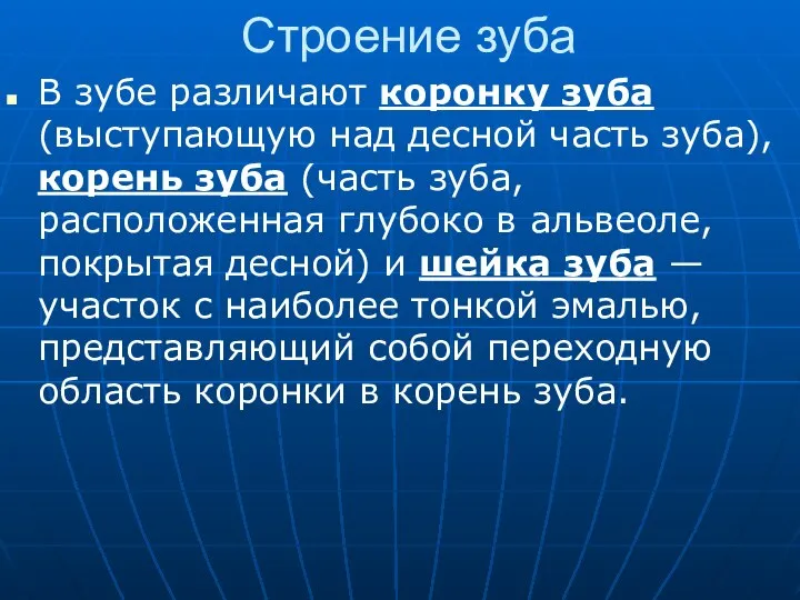 Строение зуба В зубе различают коронку зуба (выступающую над десной часть