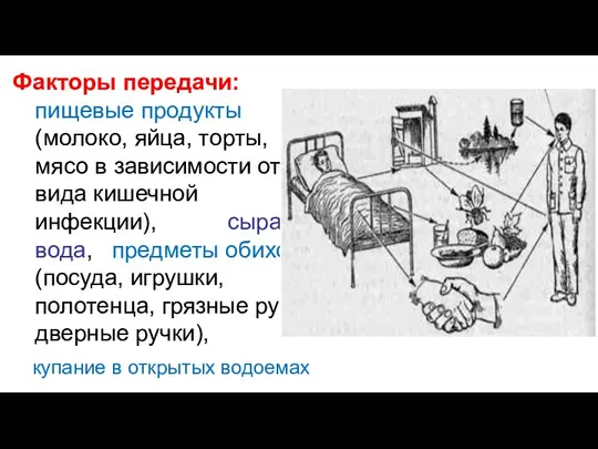 Факторы передачи: пищевые продукты (молоко, яйца, торты, мясо в зависимости от