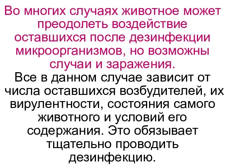 Во многих случаях животное может преодолеть воздействие оставшихся после дезинфекции микроорганизмов,