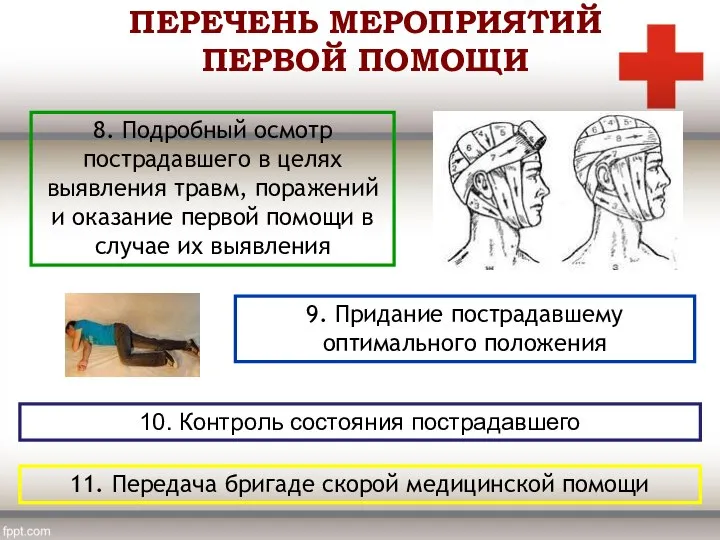 8. Подробный осмотр пострадавшего в целях выявления травм, поражений и оказание