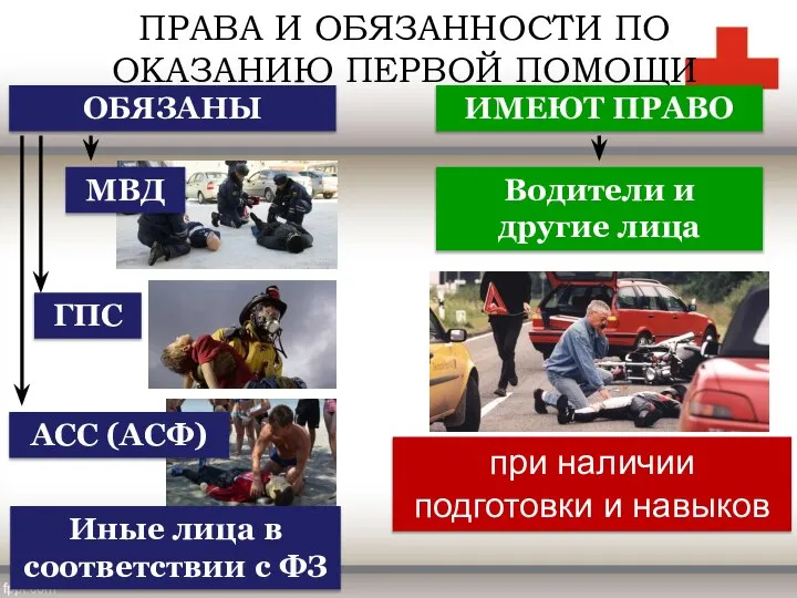 ПРАВА И ОБЯЗАННОСТИ ПО ОКАЗАНИЮ ПЕРВОЙ ПОМОЩИ ОБЯЗАНЫ ИМЕЮТ ПРАВО МВД