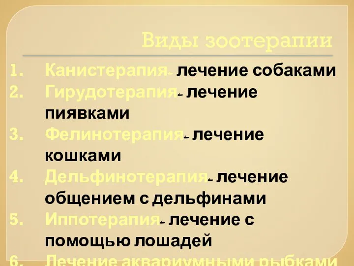 Виды зоотерапии Канистерапия- лечение собаками Гирудотерапия- лечение пиявками Фелинотерапия- лечение кошками