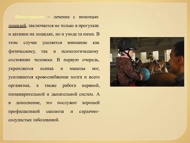 Иппотерапия – лечение с помощью лошадей, заключается не только в прогулках