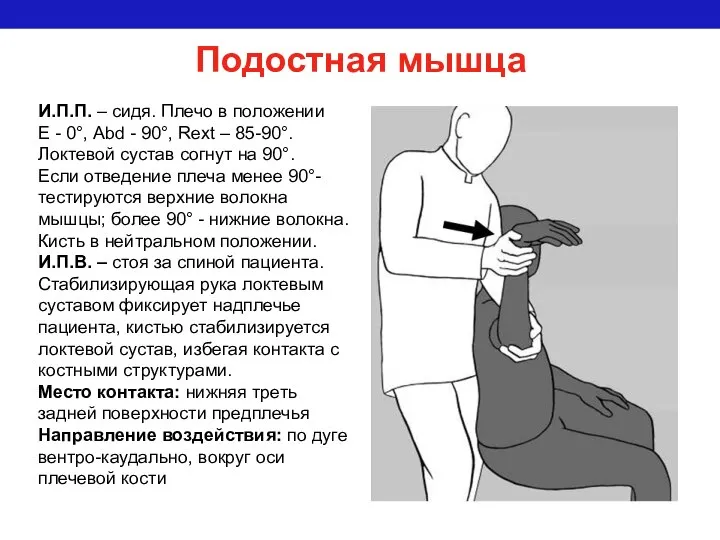 Подостная мышца И.П.П. – сидя. Плечо в положении Е - 0°,