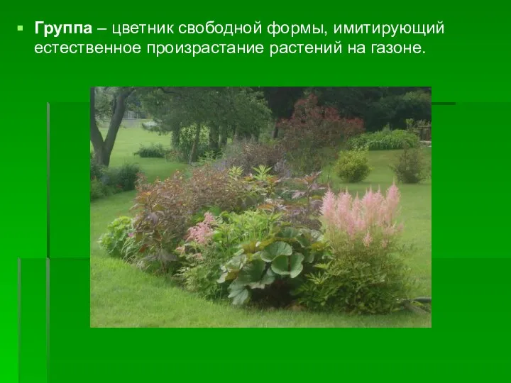 Группа – цветник свободной формы, имитирующий естественное произрастание растений на газоне.