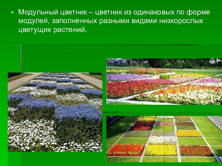 Модульный цветник – цветник из одинаковых по форме модулей, заполненных разными видами низкорослых цветущих растений.
