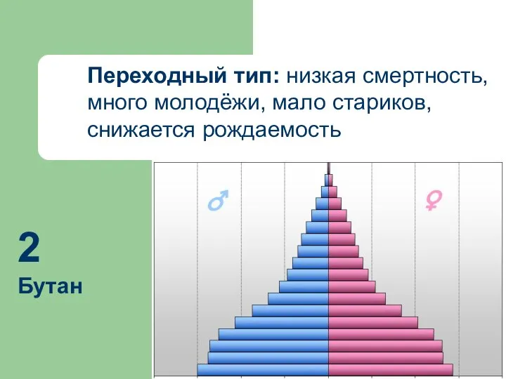 Переходный тип: низкая смертность, много молодёжи, мало стариков, снижается рождаемость 2 Бутан