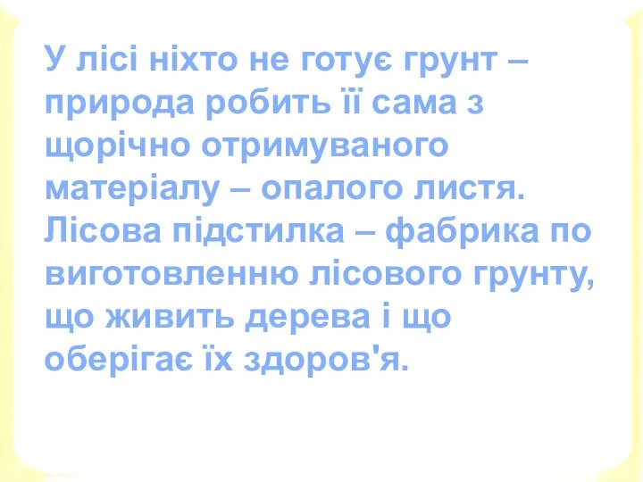 У лісі ніхто не готує грунт – природа робить її сама