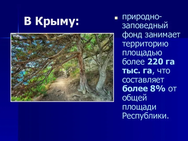 В Крыму: природно-заповедный фонд занимает территорию площадью более 220 га тыс.