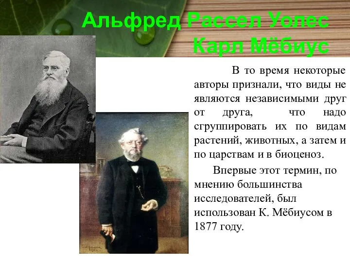 Альфред Рассел Уолес Карл Мёбиус В то время некоторые авторы признали,