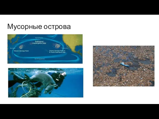 Мусорные острова