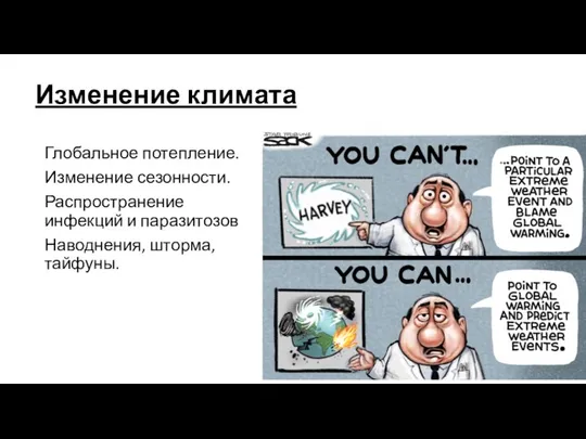 Изменение климата Глобальное потепление. Изменение сезонности. Распространение инфекций и паразитозов Наводнения, шторма, тайфуны.