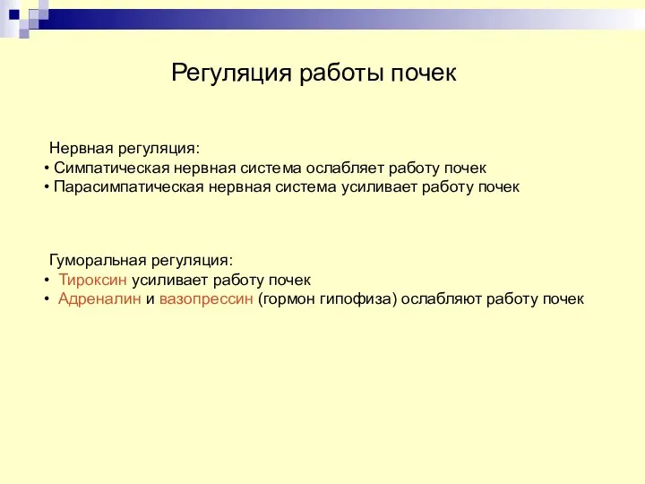 Регуляция работы почек Нервная регуляция: Симпатическая нервная система ослабляет работу почек