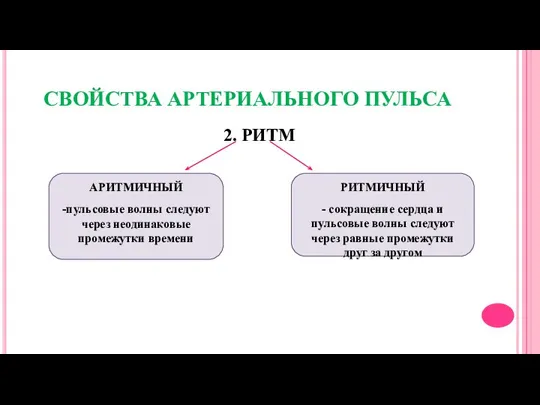 СВОЙСТВА АРТЕРИАЛЬНОГО ПУЛЬСА 2. РИТМ РИТМИЧНЫЙ - сокращение сердца и пульсовые