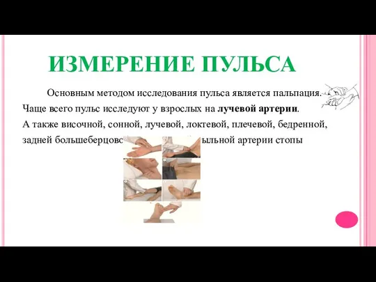 ИЗМЕРЕНИЕ ПУЛЬСА Основным методом исследования пульса является пальпация. Чаще всего пульс