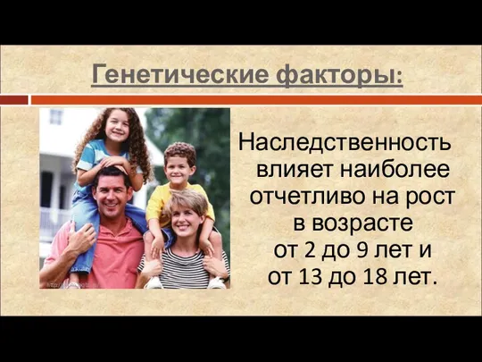 Генетические факторы: Наследственность влияет наиболее отчетливо на рост в возрасте от