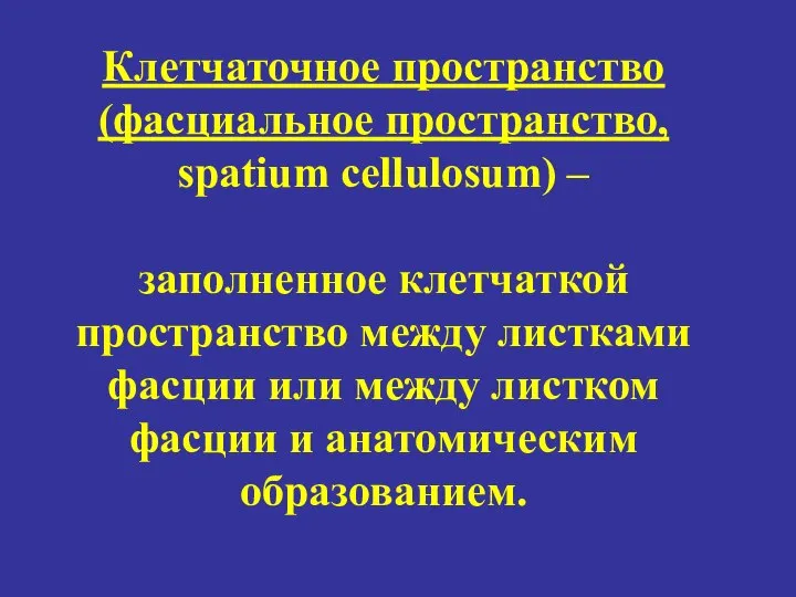 Клетчаточное пространство (фасциальное пространство, spatium cellulosum) – заполненное клетчаткой пространство между