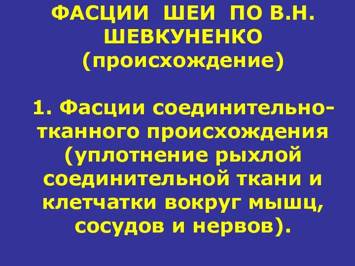 ФАСЦИИ ШЕИ ПО В.Н.ШЕВКУНЕНКО (происхождение) 1. Фасции соединительно-тканного происхождения (уплотнение рыхлой