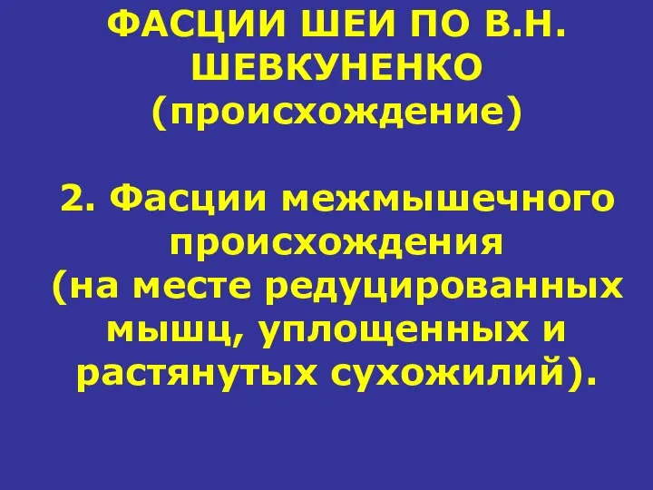 ФАСЦИИ ШЕИ ПО В.Н.ШЕВКУНЕНКО (происхождение) 2. Фасции межмышечного происхождения (на месте