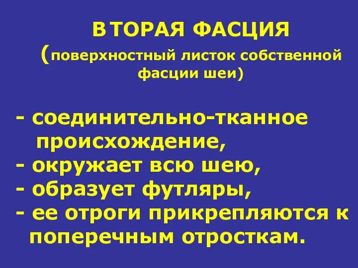 В ТОРАЯ ФАСЦИЯ (поверхностный листок собственной фасции шеи) - соединительно-тканное происхождение,