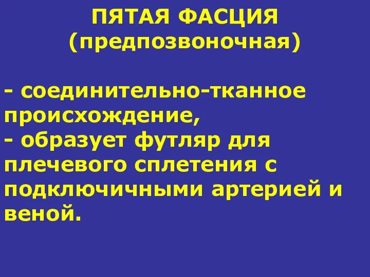 ПЯТАЯ ФАСЦИЯ (предпозвоночная) - соединительно-тканное происхождение, - образует футляр для плечевого