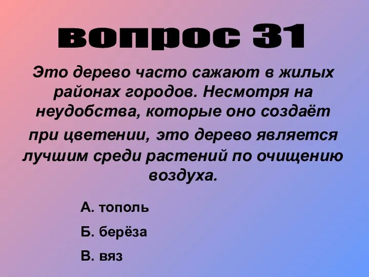 вопрос 31 Это дерево часто сажают в жилых районах городов. Несмотря