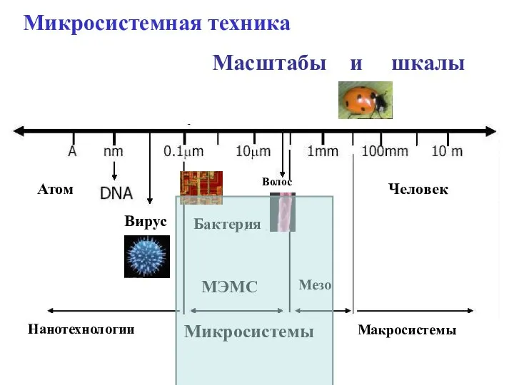 Масштабы и шкалы Микросистемная техника