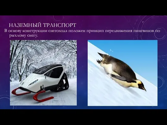 НАЗЕМНЫЙ ТРАНСПОРТ В основу конструкции снегохода положен принцип передвижения пингвинов по рыхлому снегу.