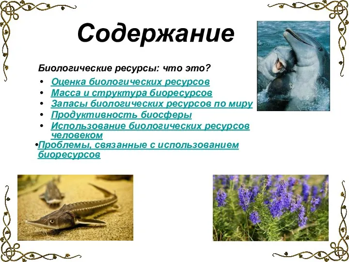 Биологические ресурсы: что это? Содержание Оценка биологических ресурсов Масса и структура