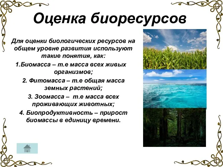 Для оценки биологических ресурсов на общем уровне развития используют такие понятия,