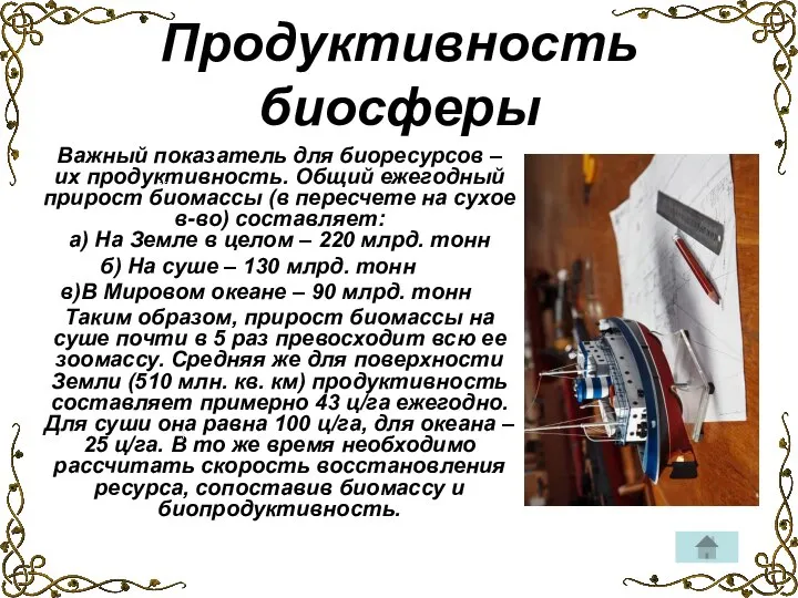 Важный показатель для биоресурсов – их продуктивность. Общий ежегодный прирост биомассы