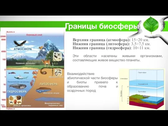 Границы биосферы Верхняя граница (атмосфера): 15÷20 км. Нижняя граница (литосфера): 3,5÷7,5