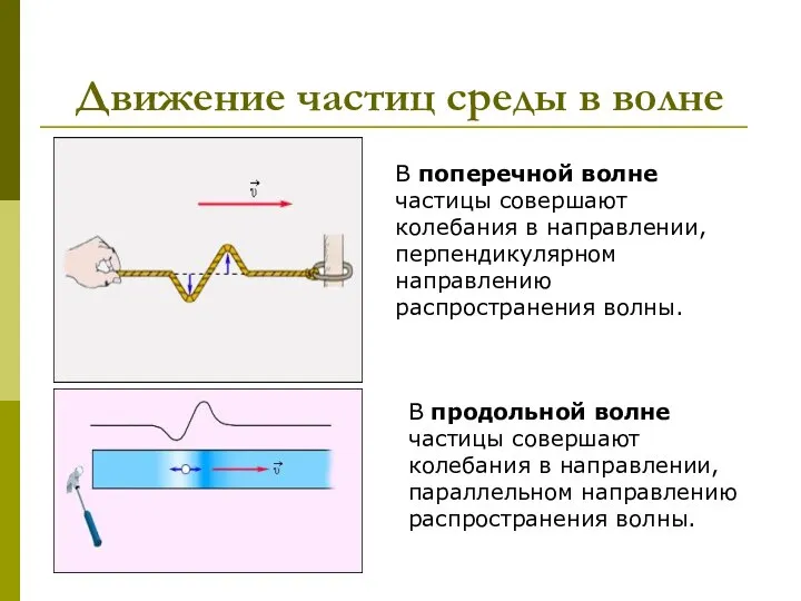 Движение частиц среды в волне В поперечной волне частицы совершают колебания