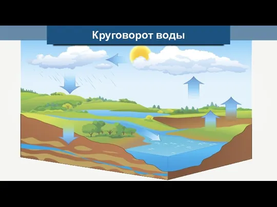 Круговорот воды