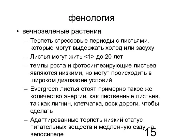 фенология вечнозеленые растения Терпеть стрессовые периоды с листьями, которые могут выдержать